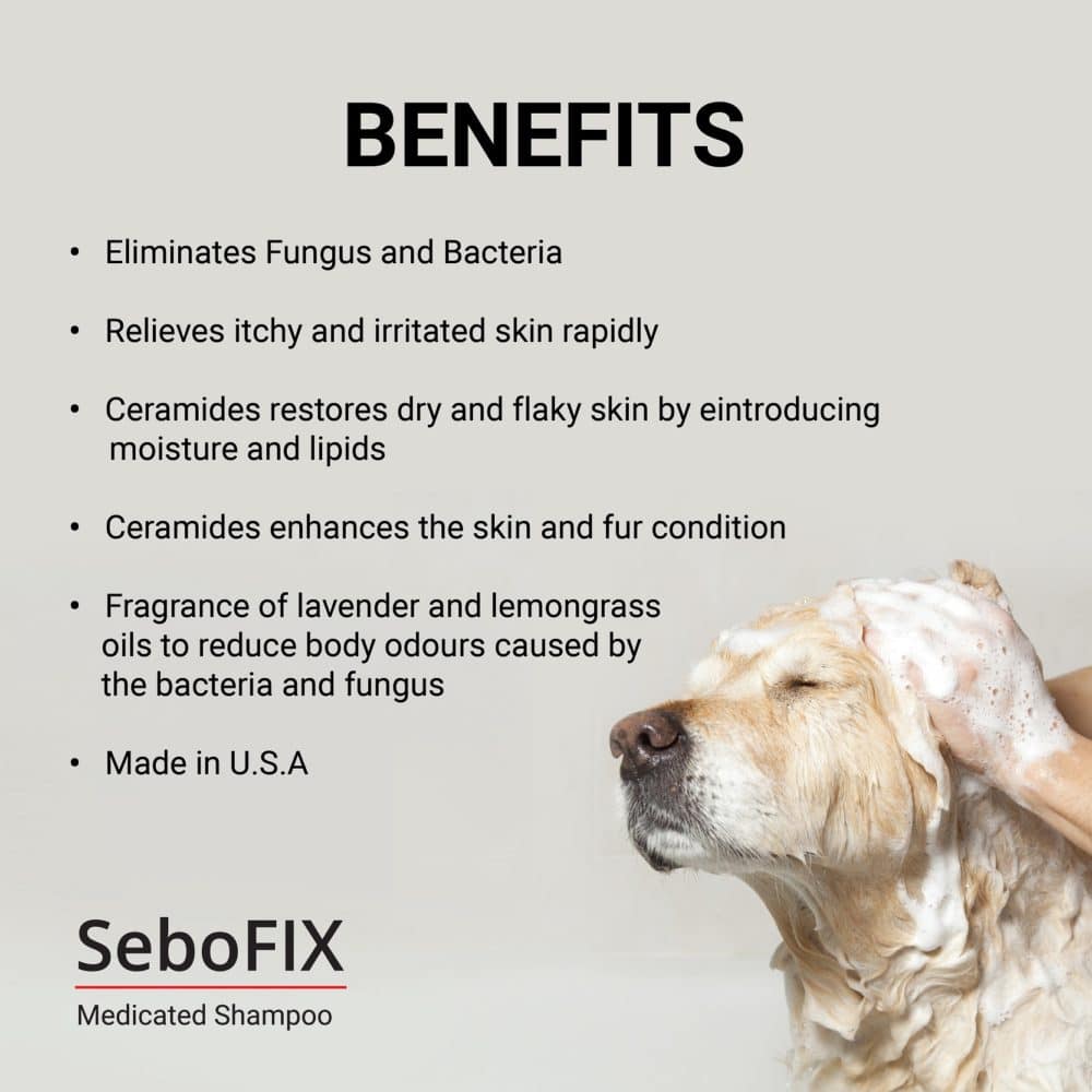 Animedx Sebofix Medicated Dog Shampoo