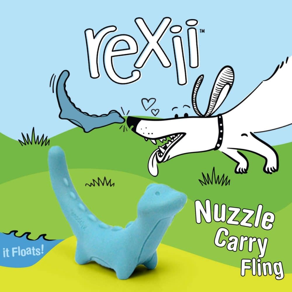 Nylabone Rexii Interactive Dog Toy for Dog Enrichment - Image 2