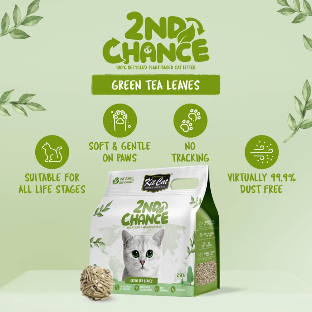 Kit Cat 2nd Chance 100% Recycled Plant-Based Clumping Cat Litter - Green Tea Leaves (2.5KG) - Image 6
