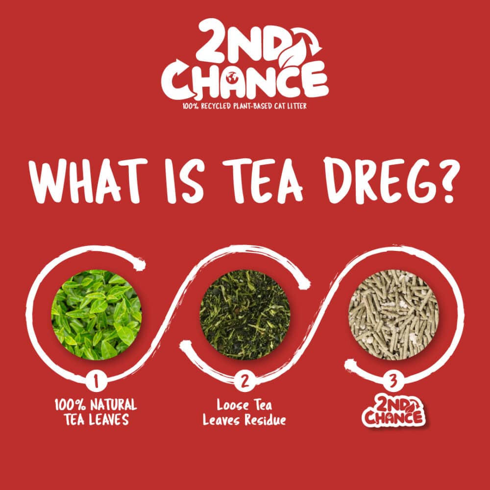 Kit Cat 2nd Chance 100% Recycled Plant-Based Clumping Cat Litter - Black Tea Leaves (2.5KG) - Image 6