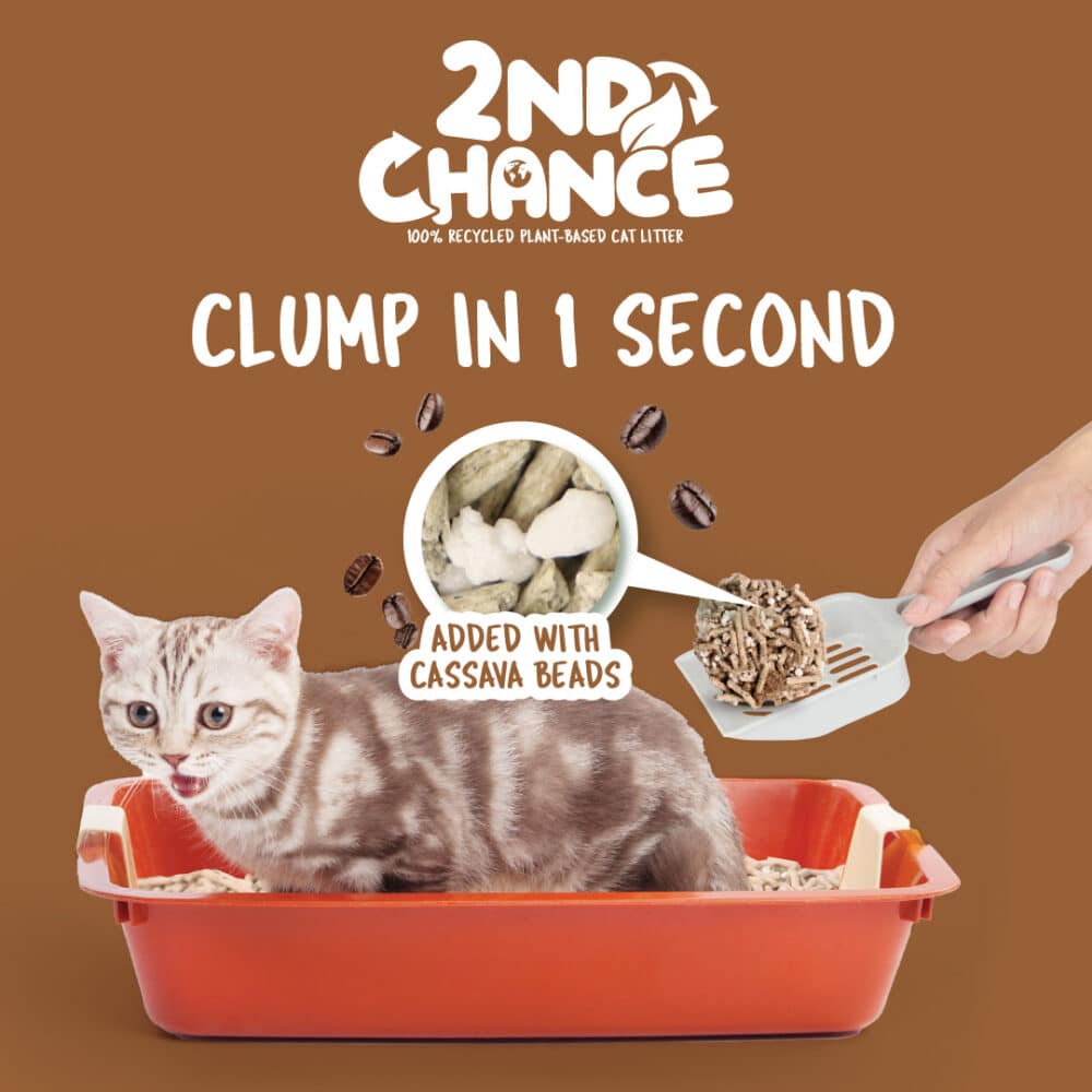 Kit Cat 2nd Chance 100% Recycled Plant-Based Clumping Cat Litter - Coffee Beans (2.5KG) - Image 3