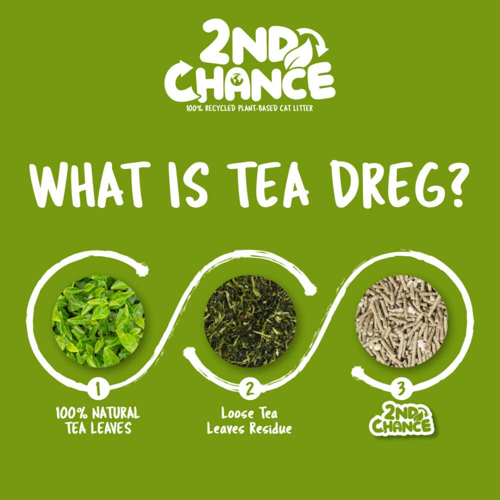 Kit Cat 2nd Chance 100% Recycled Plant-Based Clumping Cat Litter - Green Tea Leaves (2.5KG) - Image 5