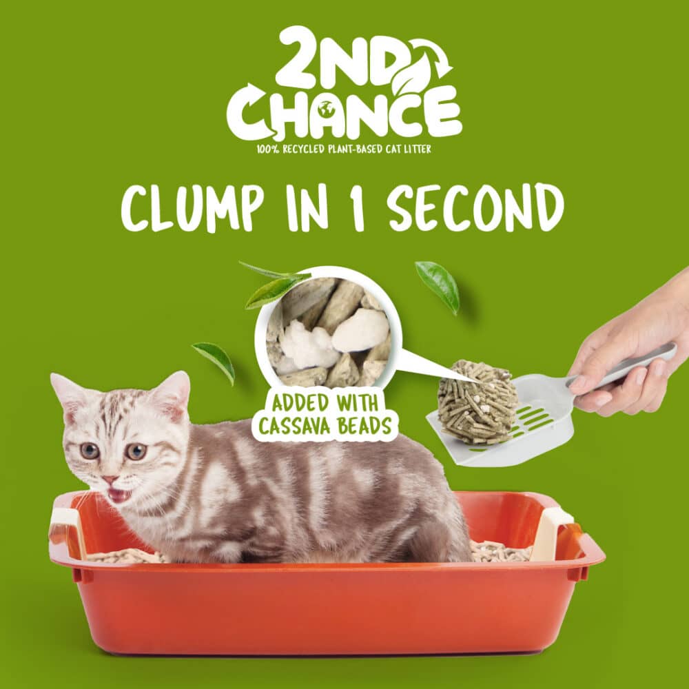 Kit Cat 2nd Chance 100% Recycled Plant-Based Clumping Cat Litter - Green Tea Leaves (2.5KG) - Image 4