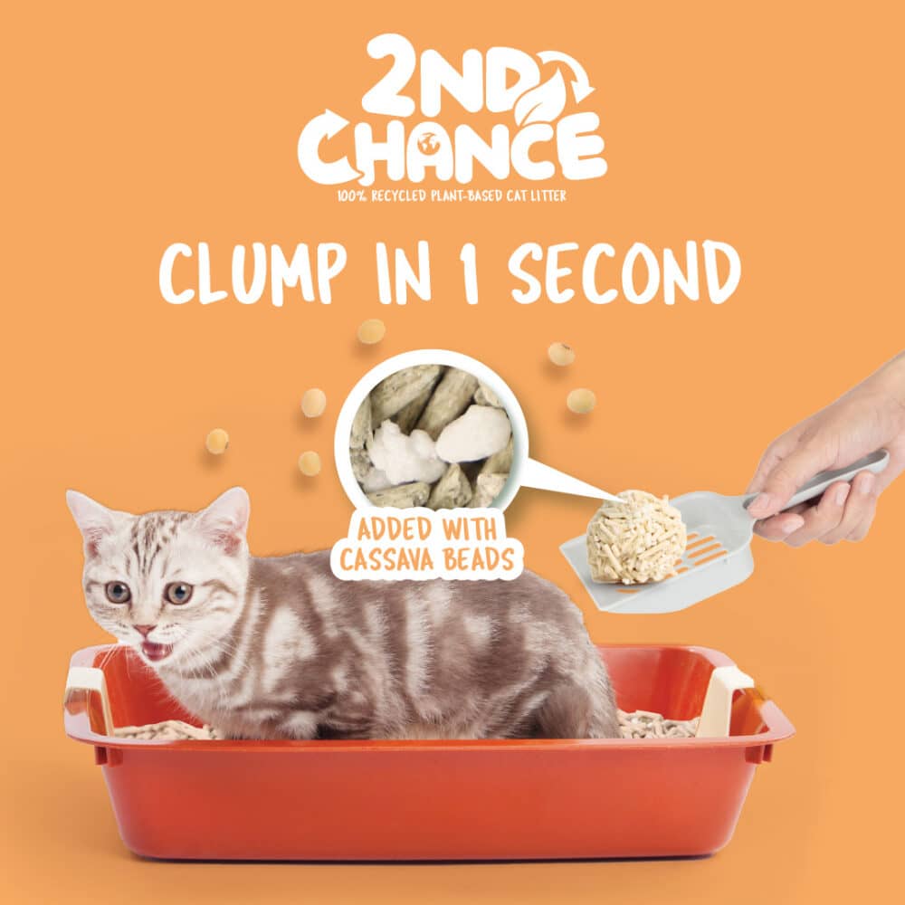 Kit Cat 2nd Chance 100% Recycled Plant-Based Clumping Cat Litter - Pea Fiber (2.5KG) - Image 2
