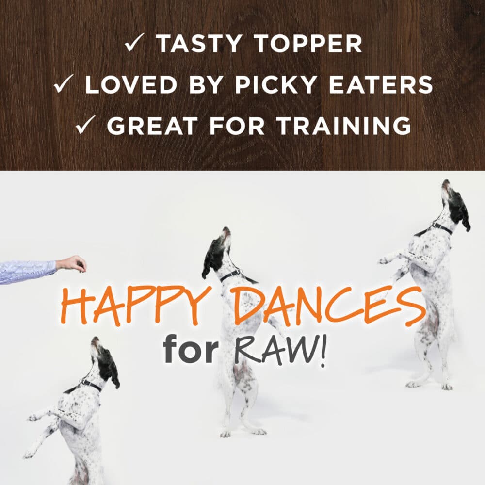 Instinct Freeze-Dried Raw Boost Mixers Grain-Free Skin & Coat Recipe Dog Food Topper (2 Sizes) - Image 4
