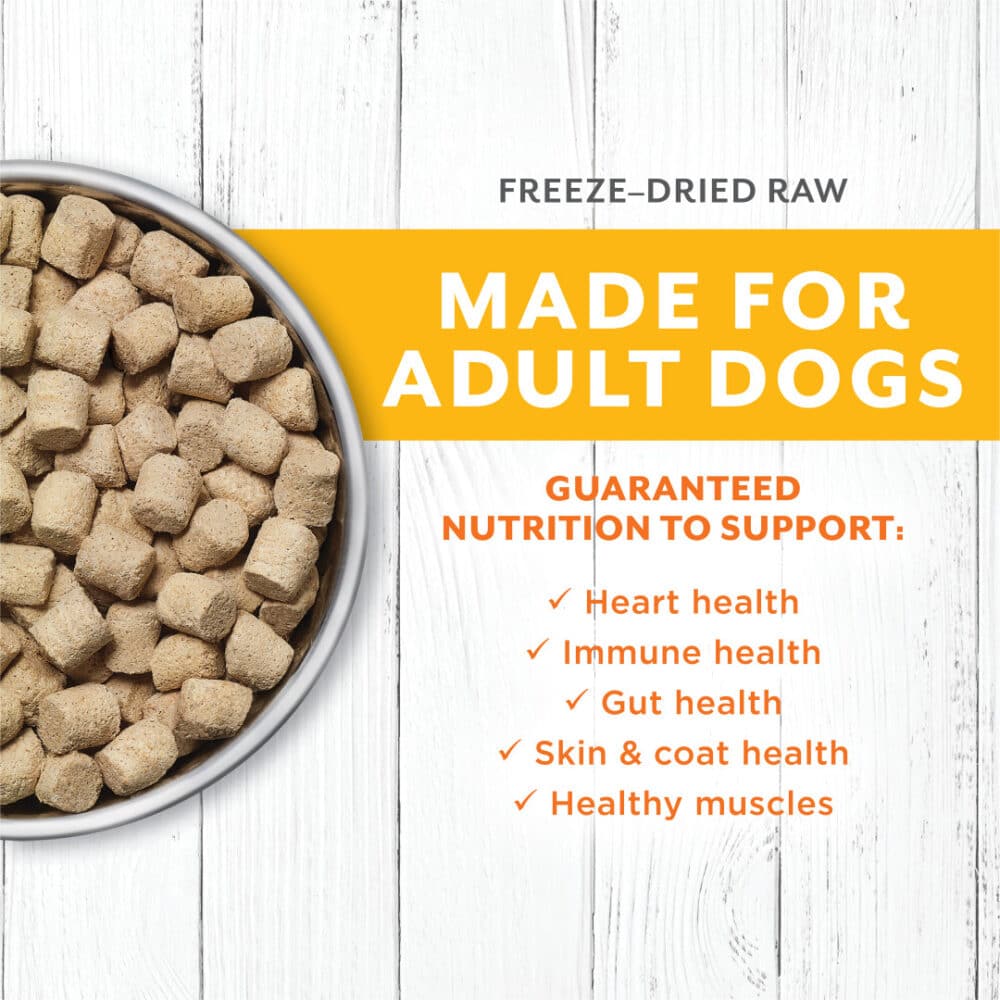 Instinct Raw Longevity 100% Freeze-Dried Raw Meals Cage-Free Chicken Recipe Dog Food 9.5 oz - Image 3