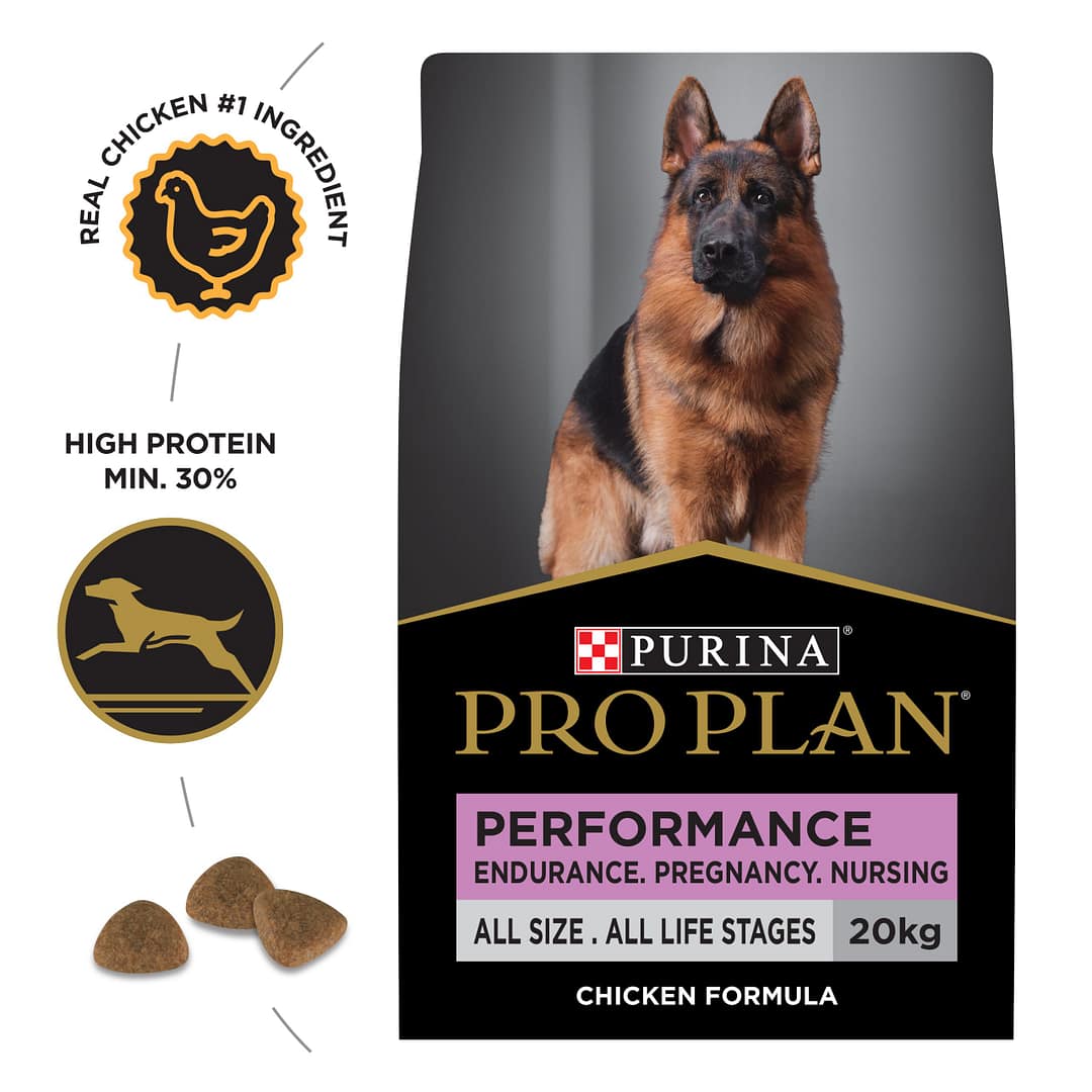 Purina PRO PLAN Performance All Size All Life Stages Chicken Formula with Colostrum - Dry Dog Food 20kg - Image 2