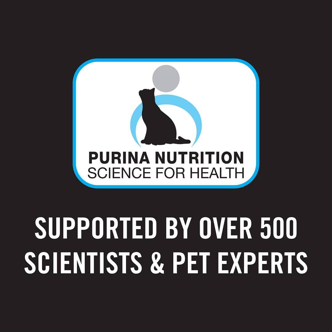 Purina PRO PLAN Fussy & Beauty Salmon - Dry Cat Food 1.5kg - Image 9