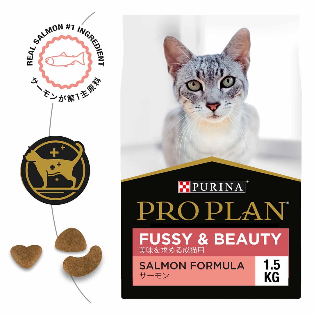 Purina PRO PLAN Fussy & Beauty Salmon - Dry Cat Food 1.5kg - Image 4