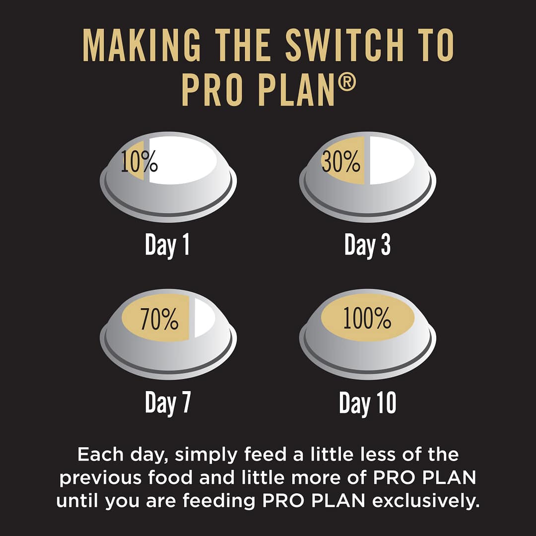 Purina PRO PLAN Adult Large Chicken Formula with Probiotics - Dry Dog Food 15kg - Image 11