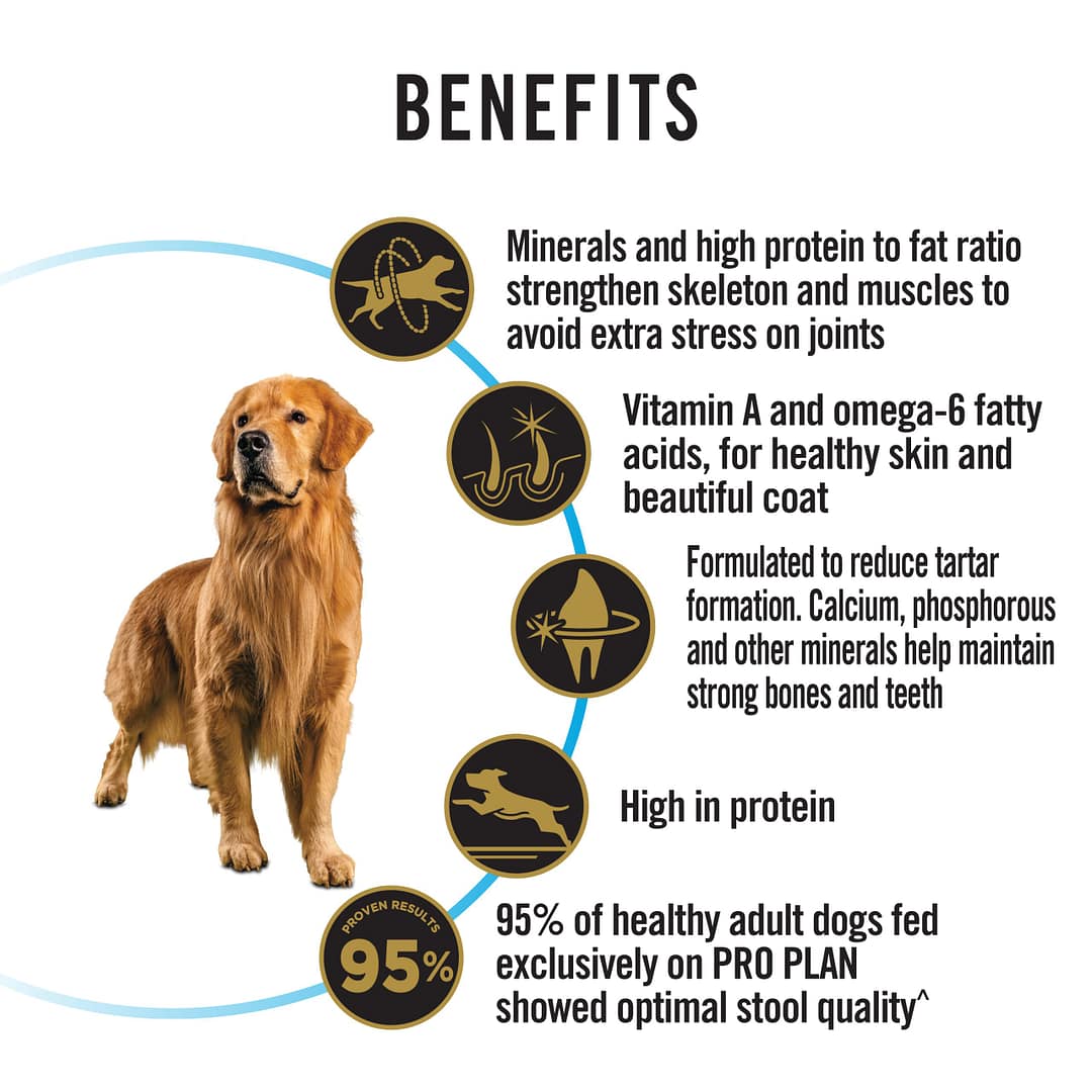 Purina PRO PLAN Adult Large Chicken Formula with Probiotics - Dry Dog Food 15kg - Image 3