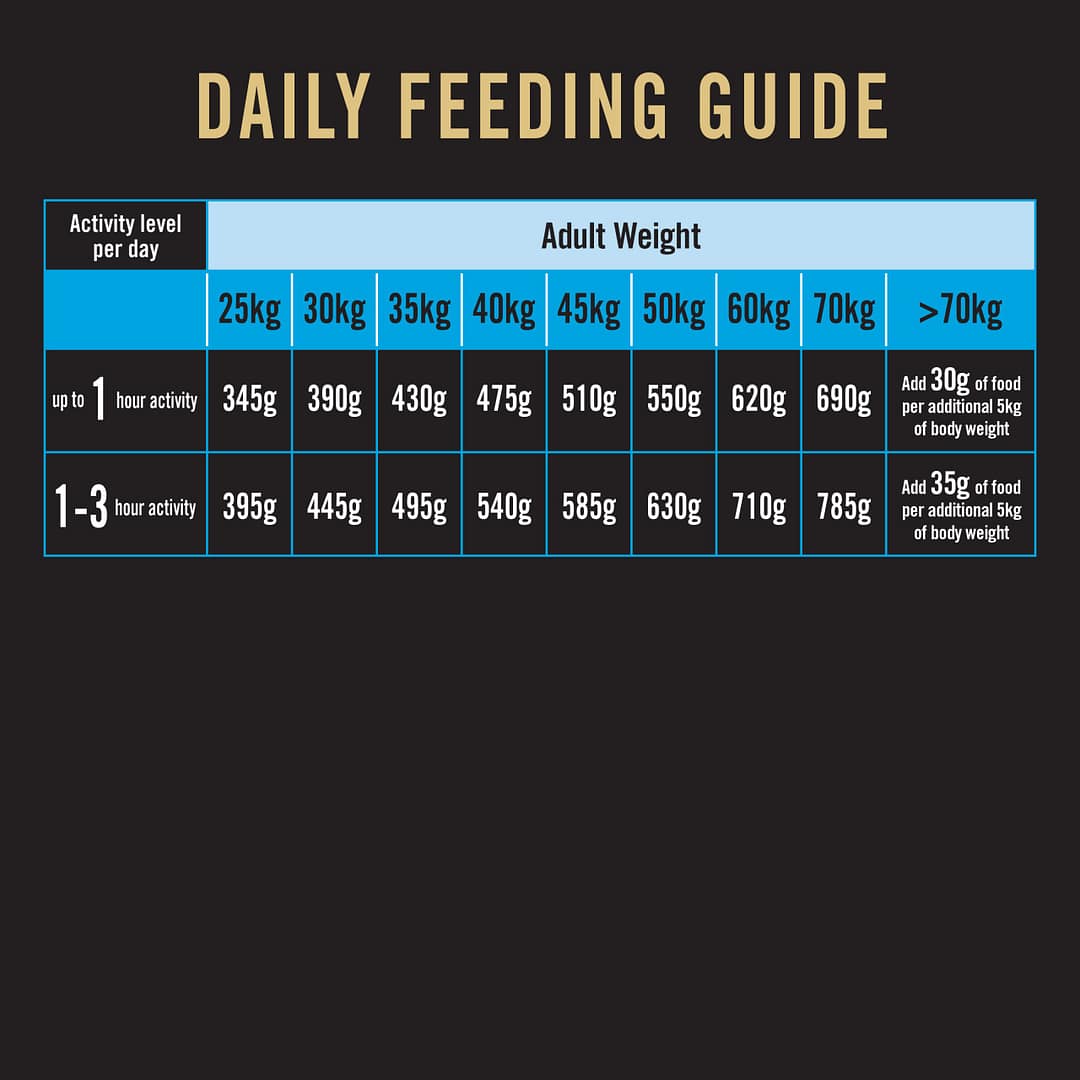 Purina PRO PLAN Adult Large Chicken Formula with Probiotics - Dry Dog Food 15kg - Image 10