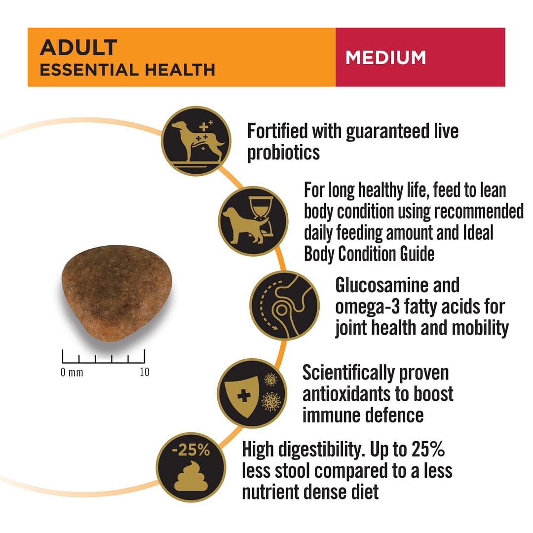 Purina PRO PLAN Adult Medium Chicken Formula with Probiotics - Dry Dog Food (2 Sizes) - Image 4