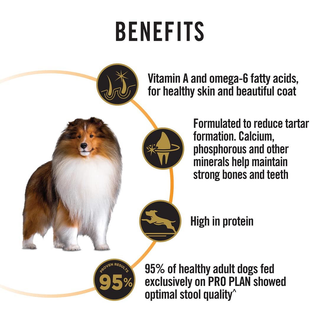 Purina PRO PLAN Adult Medium Chicken Formula with Probiotics - Dry Dog Food (2 Sizes) - Image 3