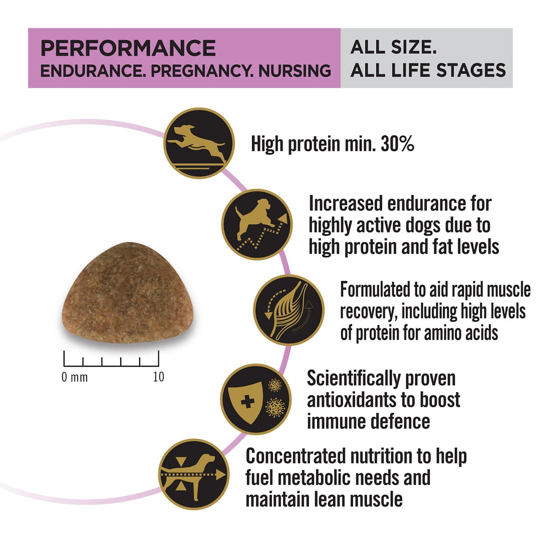 Purina PRO PLAN Performance All Size All Life Stages Chicken Formula with Colostrum - Dry Dog Food 20kg - Image 4