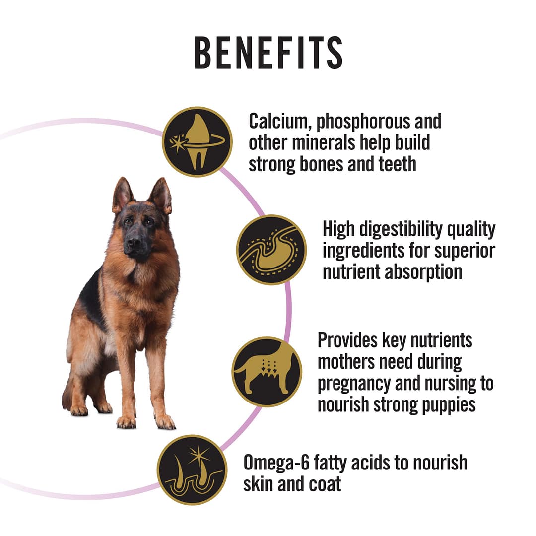 Purina PRO PLAN Performance All Size All Life Stages Chicken Formula with Colostrum - Dry Dog Food 20kg - Image 3