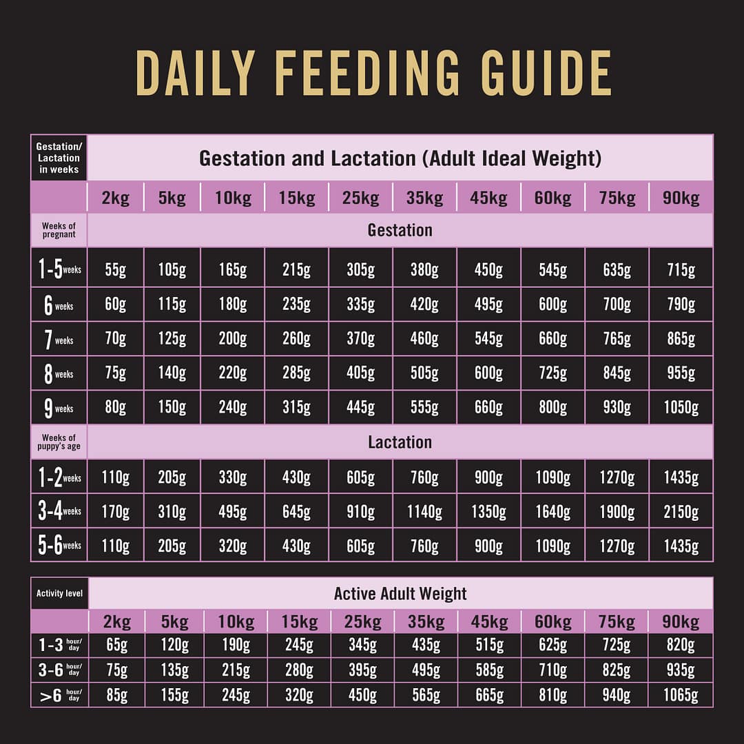 Purina PRO PLAN Performance All Size All Life Stages Chicken Formula with Colostrum - Dry Dog Food 20kg - Image 10