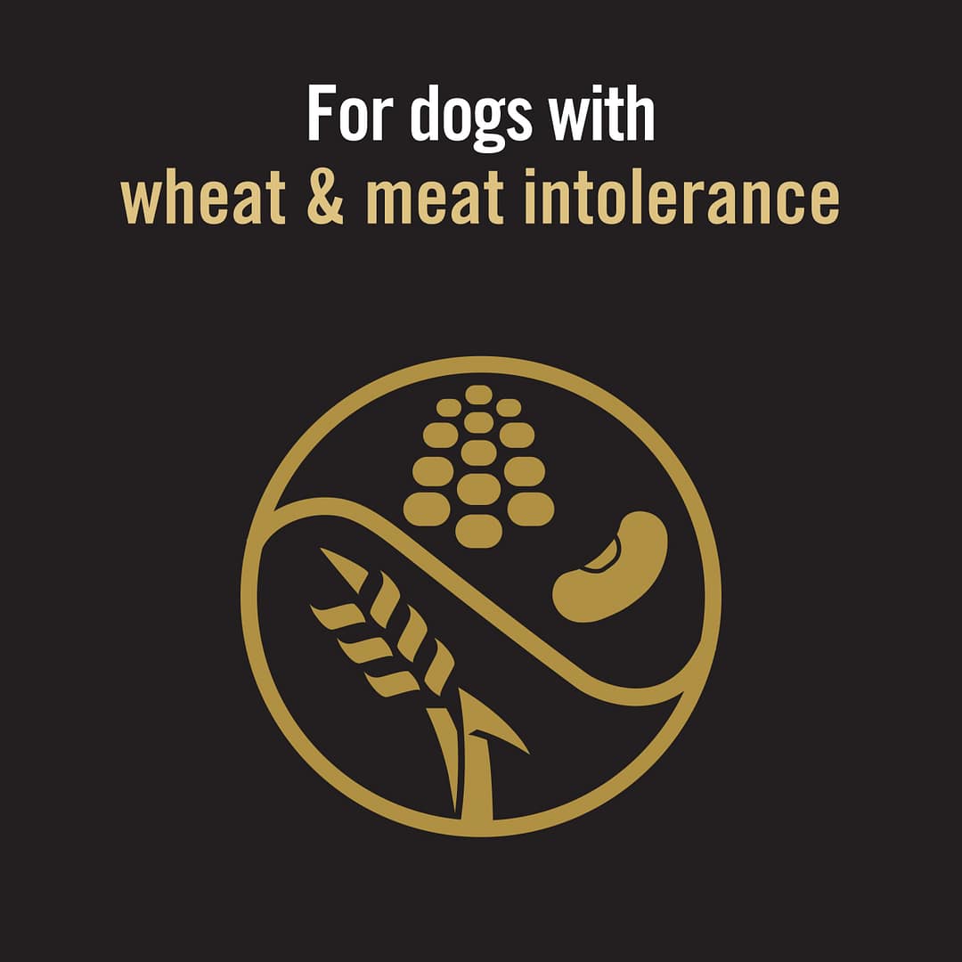 Purina PRO PLAN Puppy Sensitive Skin & Stomach Salmon & Mackerel Formula with Prebiotic Fibre - Dry Dog Food (2 Sizes) - Image 7