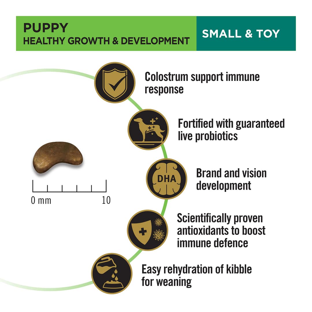 Purina PRO PLAN Puppy Small & Toy Breed Chicken Formula with Colostrum and Probiotics - Dry Dog Food (2 Sizes) - Image 4