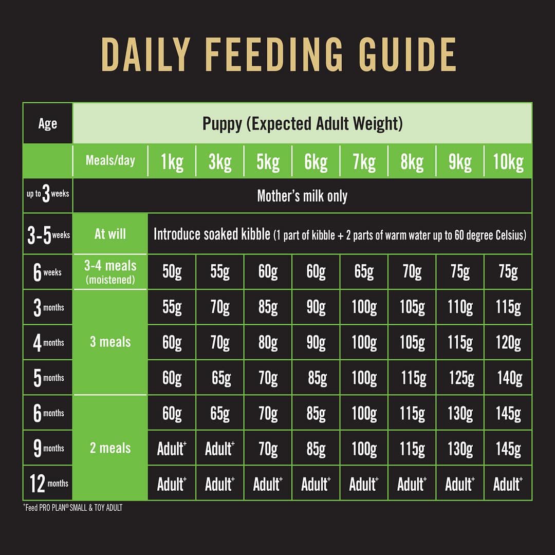 Purina PRO PLAN Puppy Small & Toy Breed Chicken Formula with Colostrum and Probiotics - Dry Dog Food (2 Sizes) - Image 9