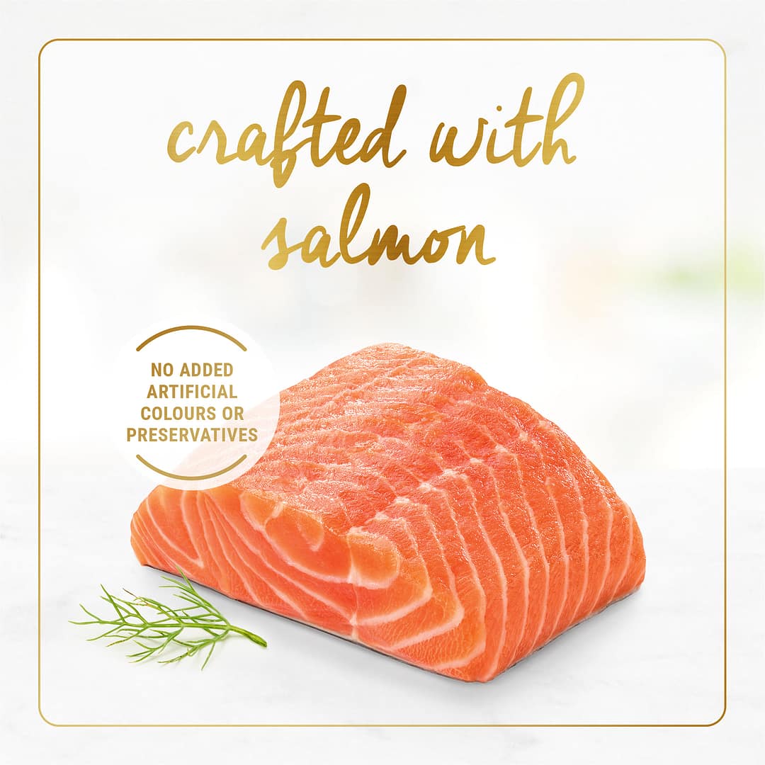 Purina Fancy Feast Gravy Lovers Salmon Wet Cat Food 85g - Image 5