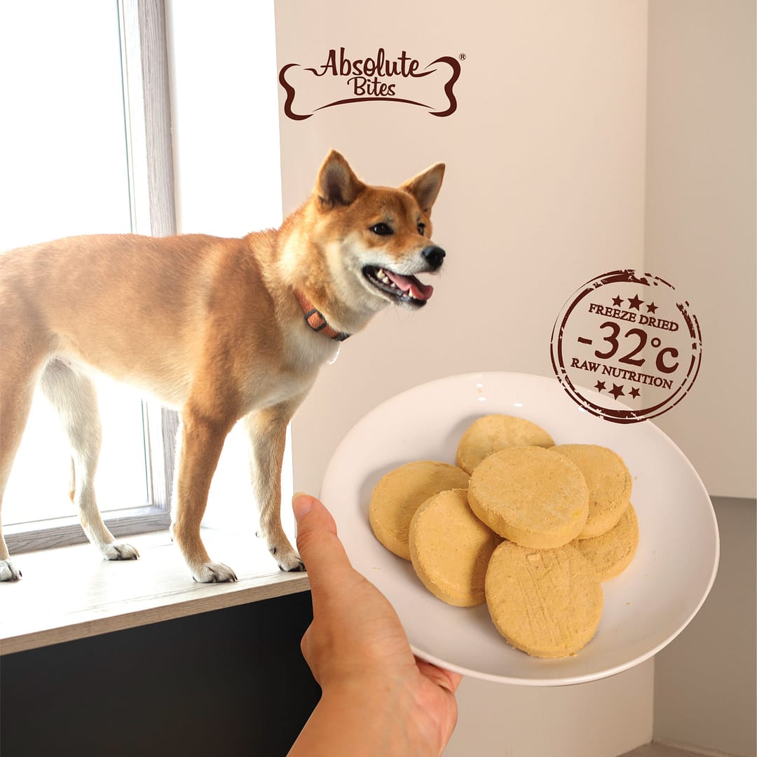 Absolute Bites Freeze Dried Raw Patties Dog Food - Quail Recipe (14oz) - Image 5