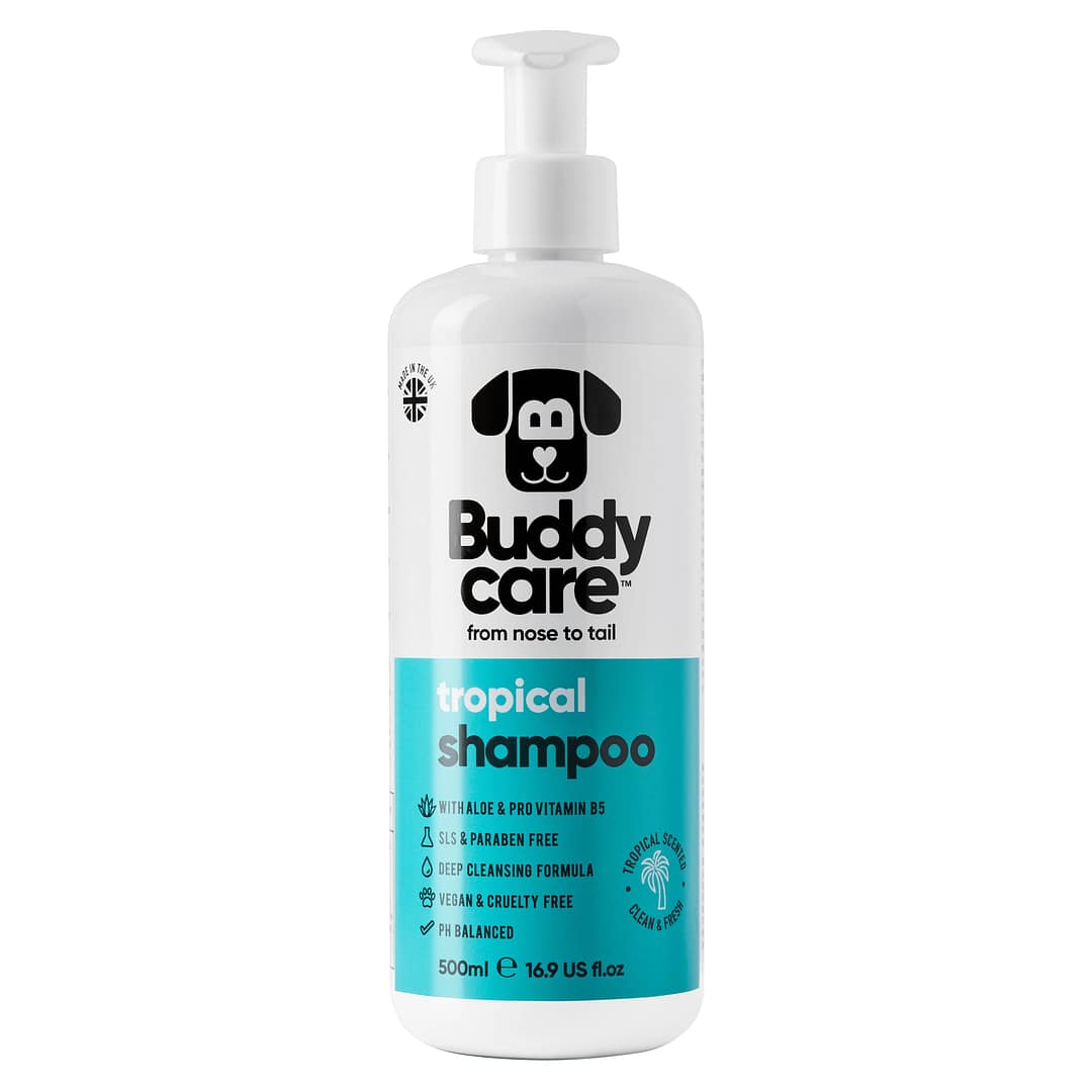 Buddycare Dog Shampoo Tropical 500ml