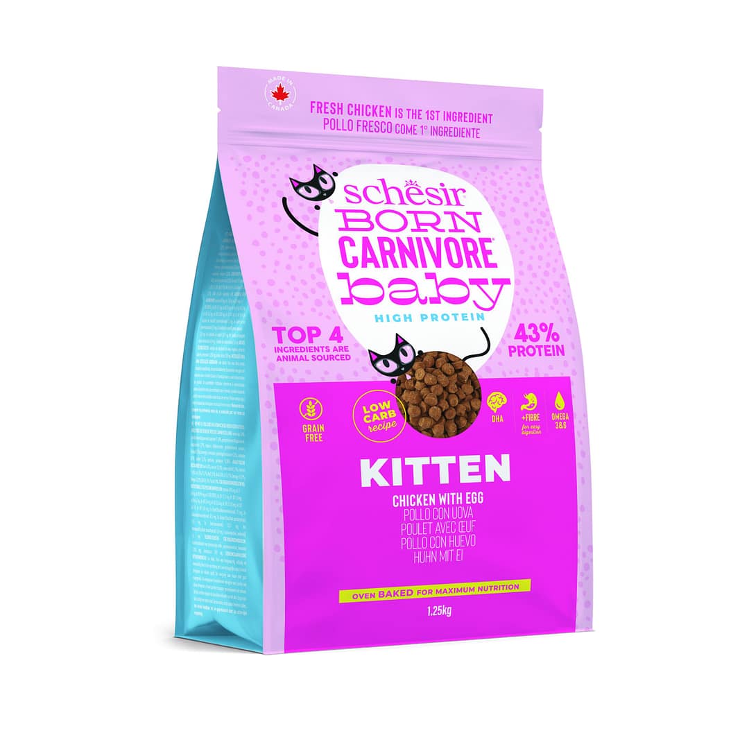 Schesir Born Carnivore Cat Baked Dry Recipe - Chicken with Egg Baby (3 Sizes) - Image 2