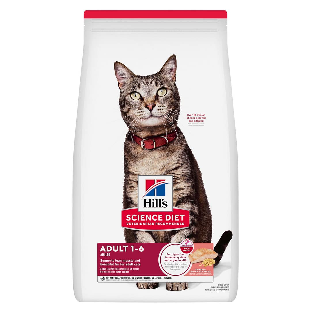 Hill's Science Diet Feline Adult Salmon & Rice Dry Cat Food 3.5lb