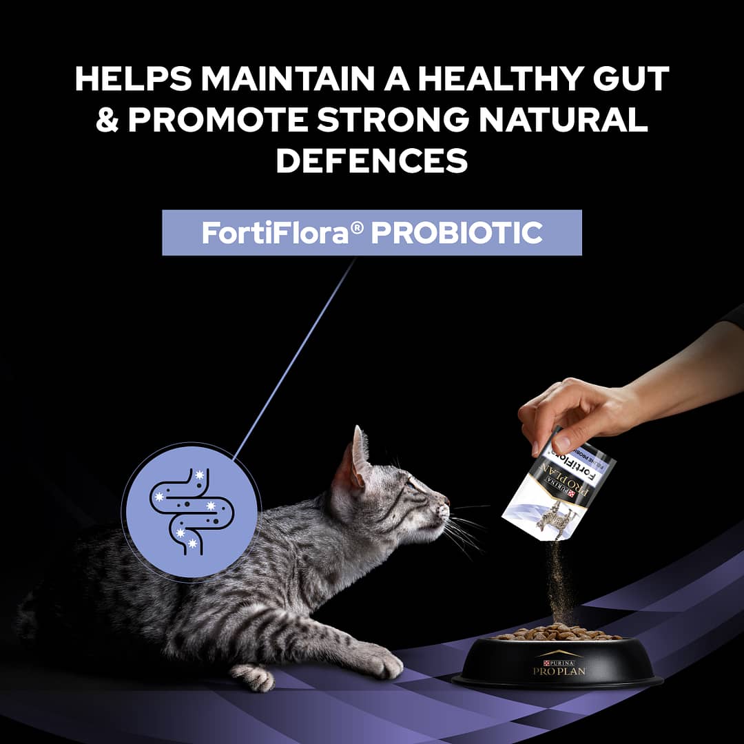 Purina Pro Plan Feline FortiFlora Veterinary Probiotic Supplement 30 sachets (30g) - Image 5