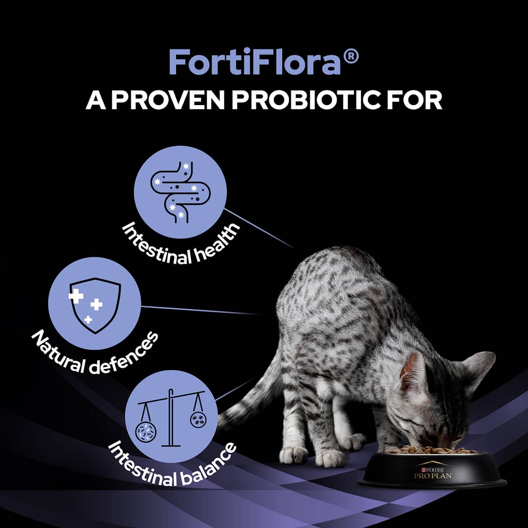 Purina Pro Plan Feline FortiFlora Veterinary Probiotic Supplement 30 sachets (30g) - Image 4