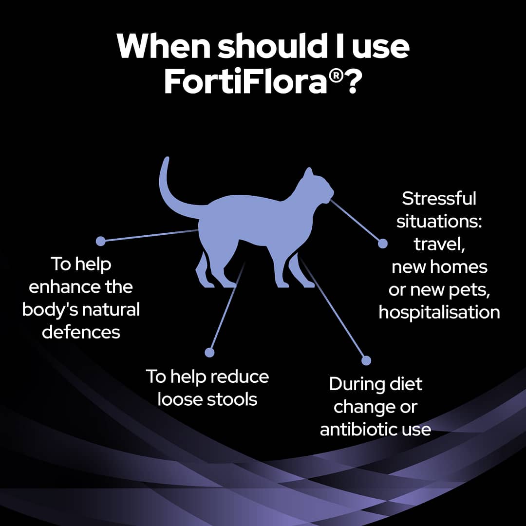 Purina Pro Plan Feline FortiFlora Veterinary Probiotic Supplement 30 sachets (30g) - Image 6
