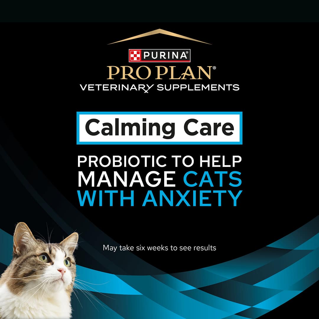 Purina Pro Plan Feline Calming Care Veterinary Supplements 30 sachets (30g) - Image 2
