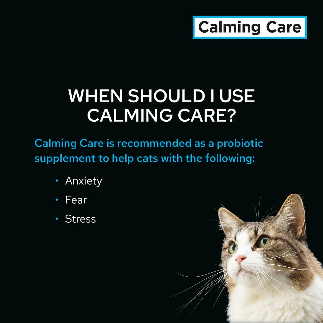 Purina Pro Plan Feline Calming Care Veterinary Supplements 30 sachets (30g) - Image 6
