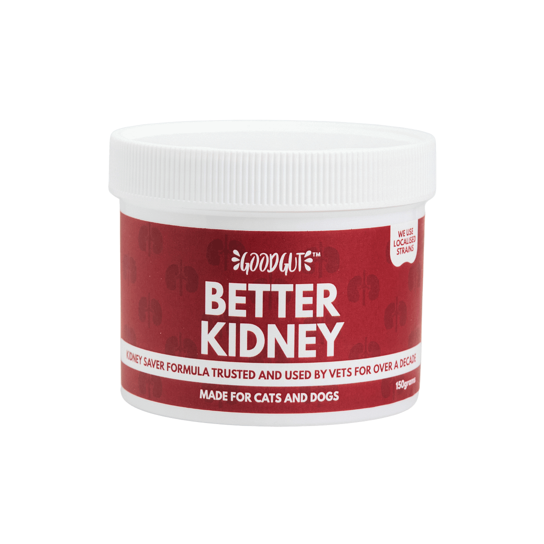 Good Gut Better Kidney Probiotics Supplement For Cats & Dogs 150g