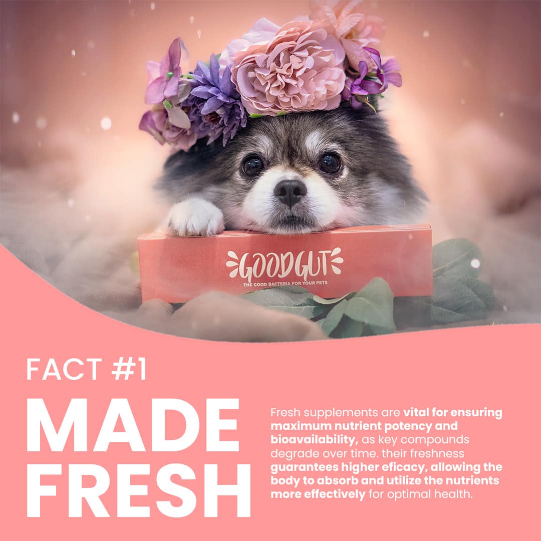 Good Gut Better Mood Probiotics Supplement For Cats & Dogs 150g - Image 3