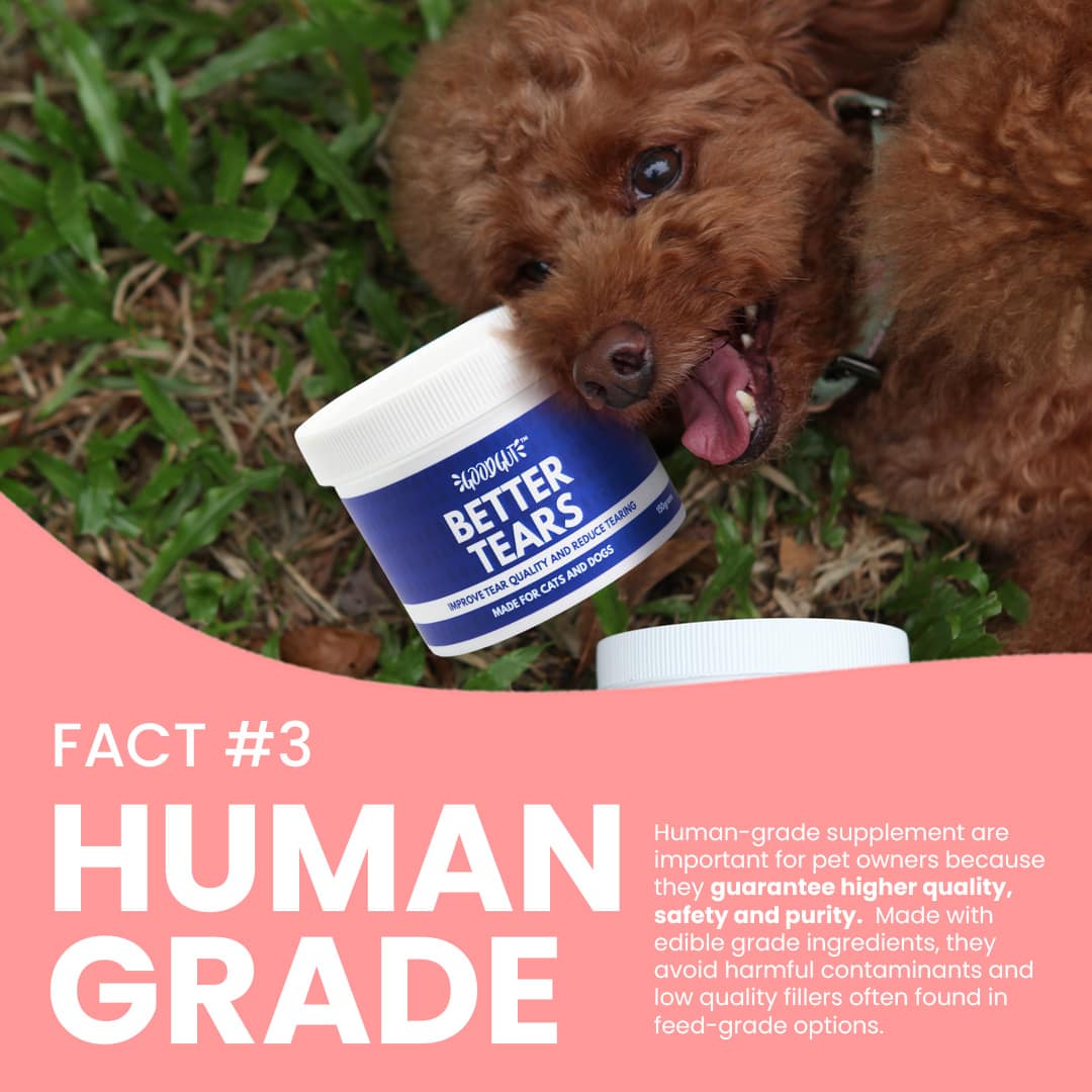 Good Gut Better Mood Probiotics Supplement For Cats & Dogs 150g - Image 5
