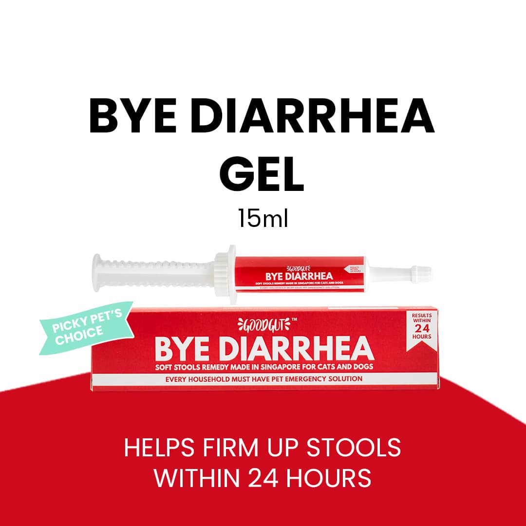 Good Gut Bye Diarrhea For Dog Gel 15ml - Image 2