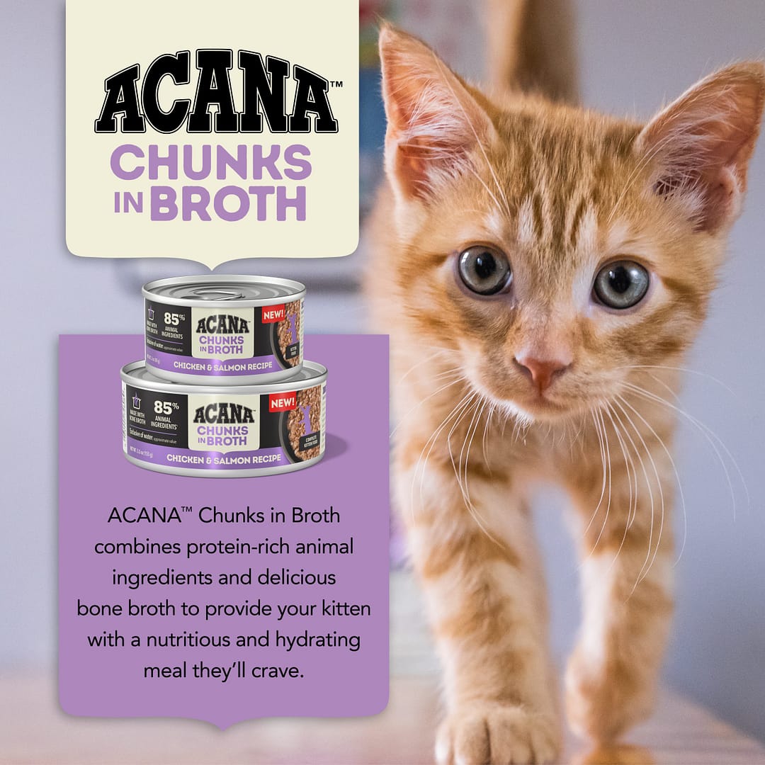 ACANA Chunks In Broth Kitten Chicken-Salmon Wet Cat Food 155g - Image 4