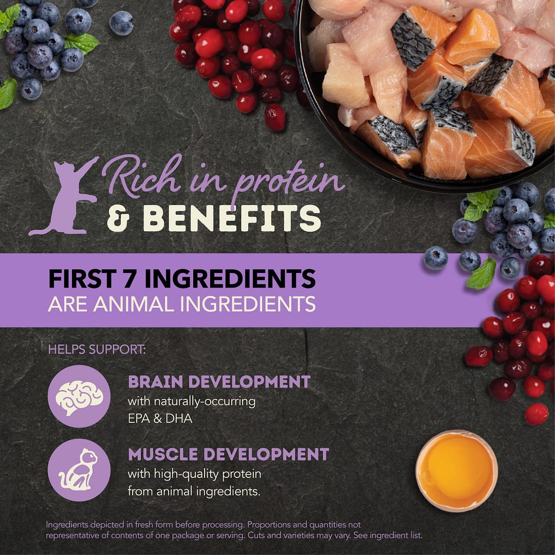 ACANA Chunks In Broth Kitten Chicken-Salmon Wet Cat Food 155g - Image 3