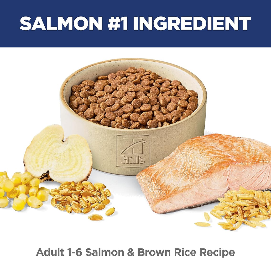 Hill's Science Diet Feline Adult Salmon & Rice Dry Cat Food 3.5lb - Image 6