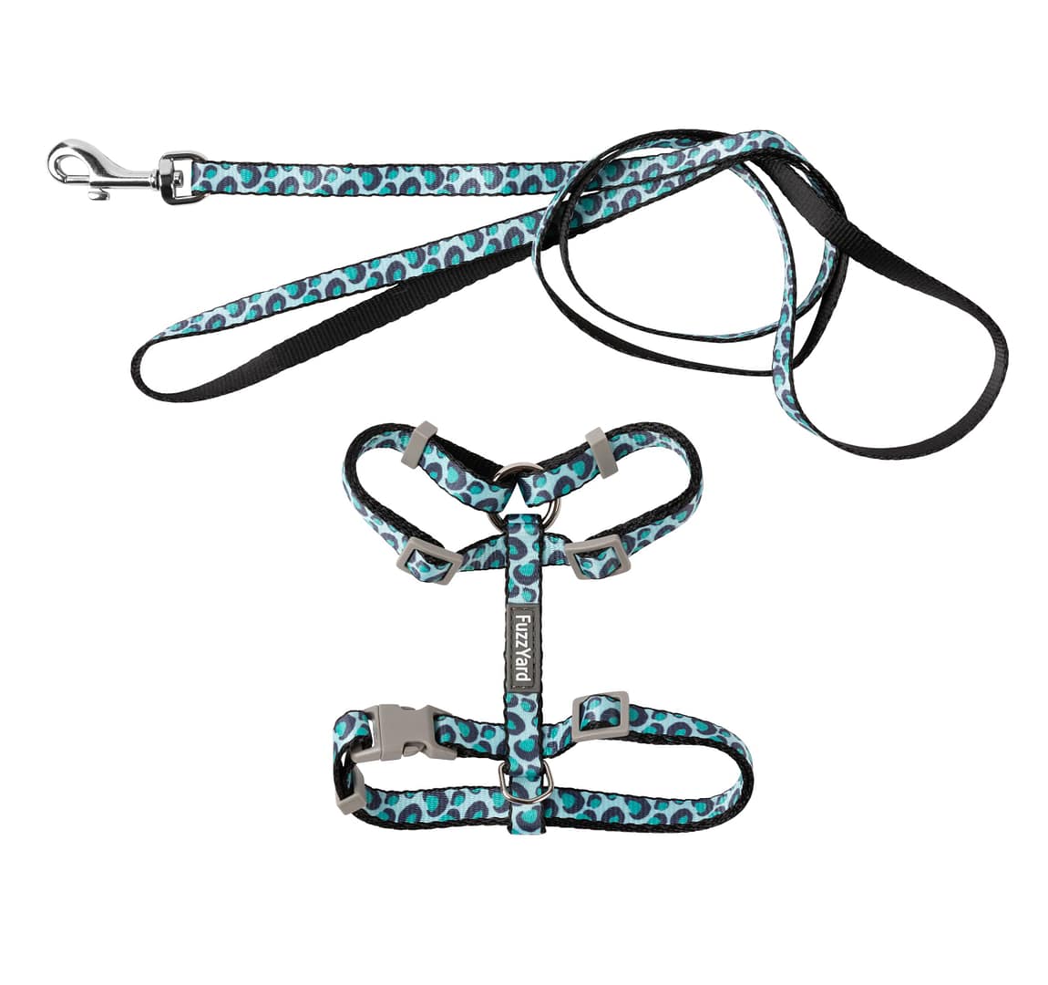 Fuzzyard Cat Walking Set - Wild One - Aqua