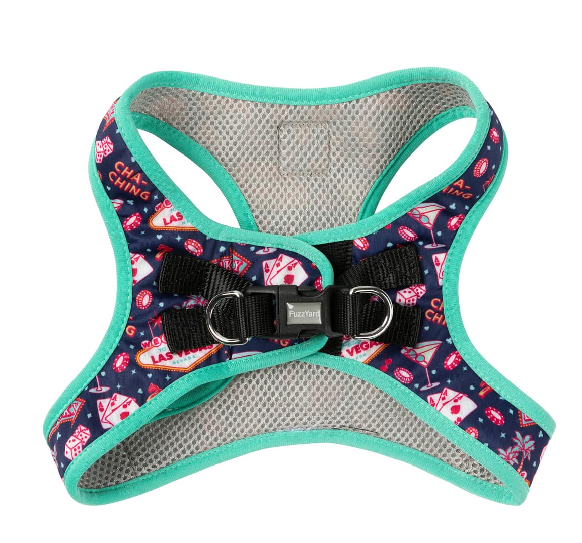 FuzzYard Step-in Dog Harness - Jackpup