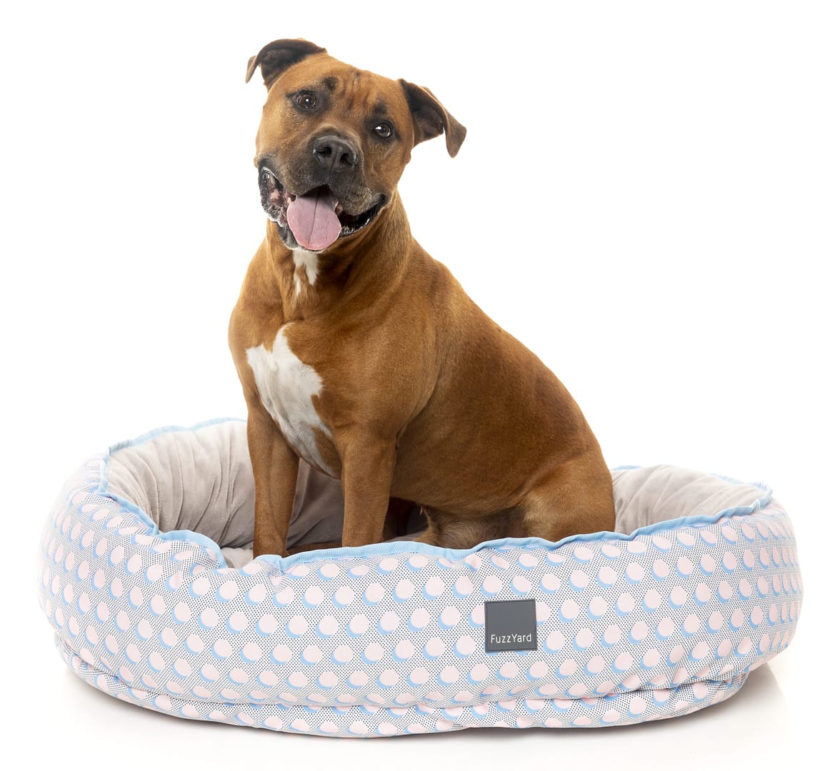 FuzzYard Dippin’ Reversible Dog Bed