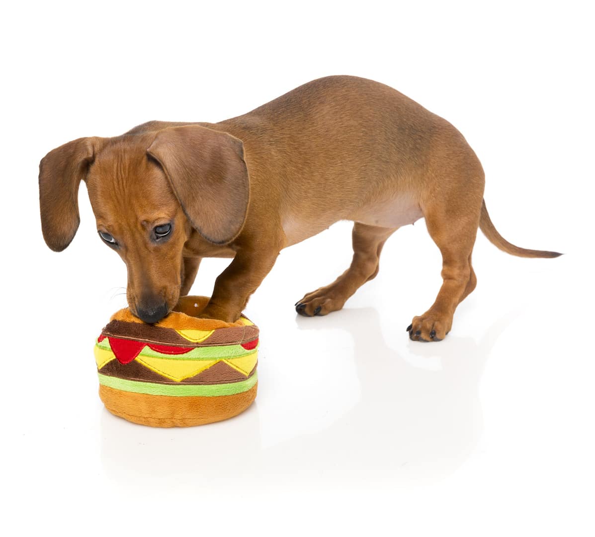 FuzzYard Dog Toy - Hamburger