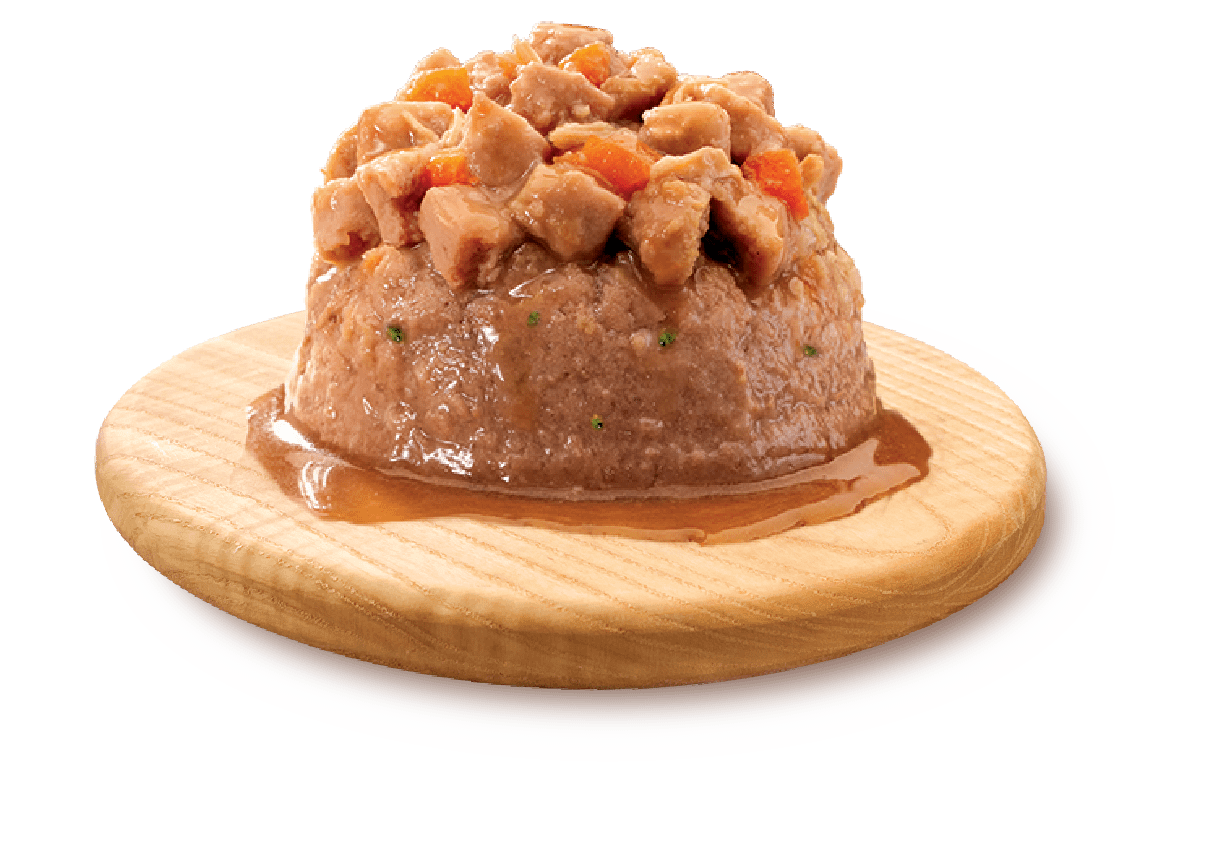 Well Divine Duos with Chicken Pâté & Diced Turkey for Cat 2.8oz