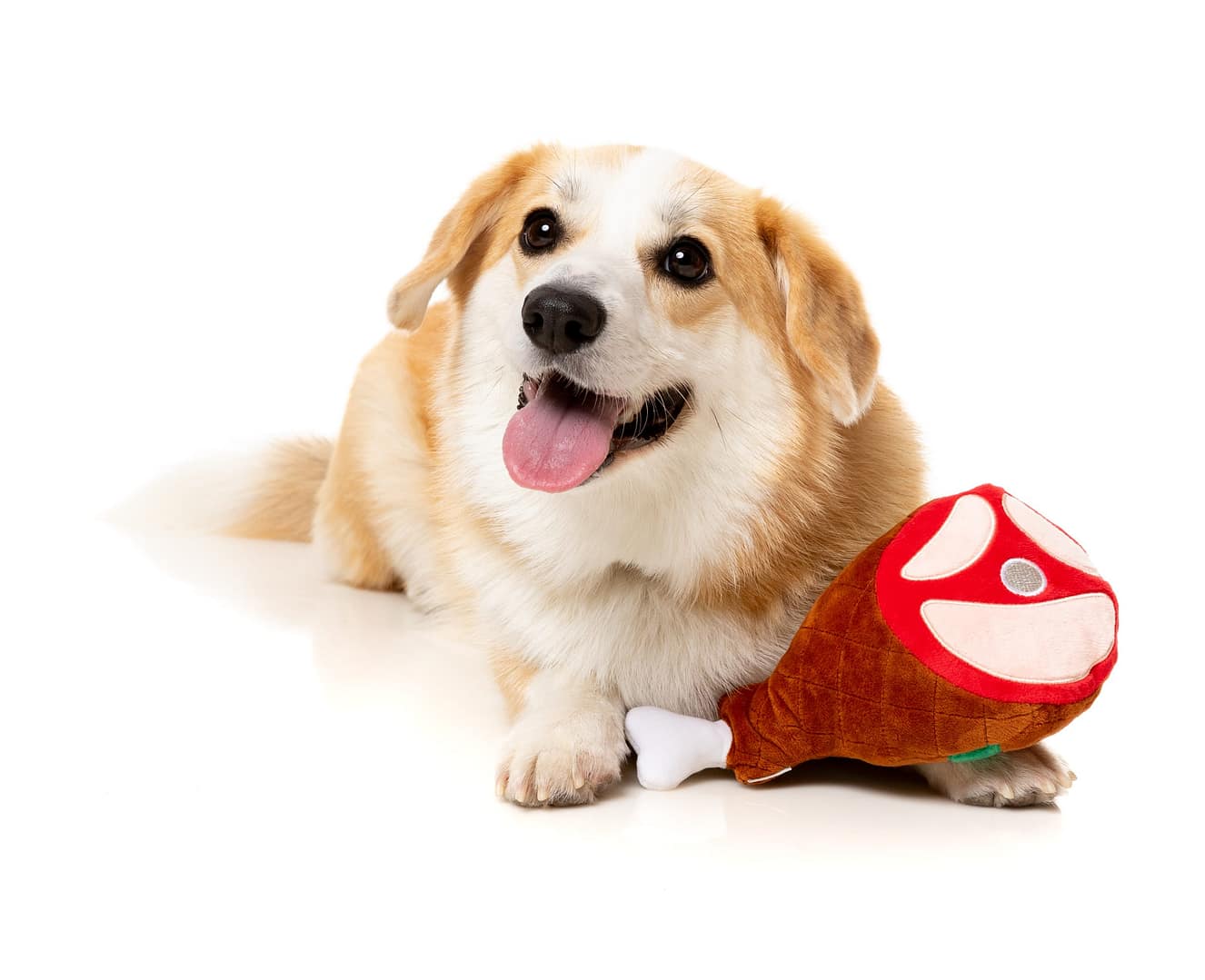 FuzzYard Christmas Dog Toy - Jolly Festive Ham - Image 2