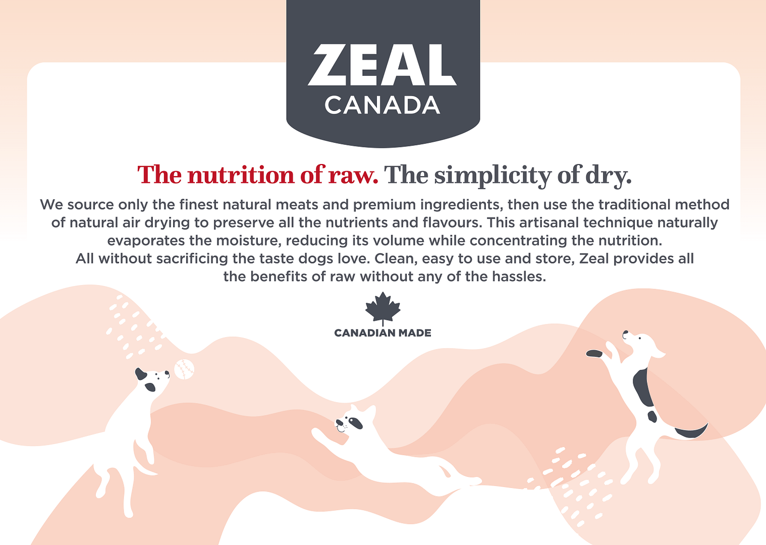 Zeal Canada Gently Air-Dried Beef Recipe Dry Dog Food [Wt : 1lb/454 g] - Image 5