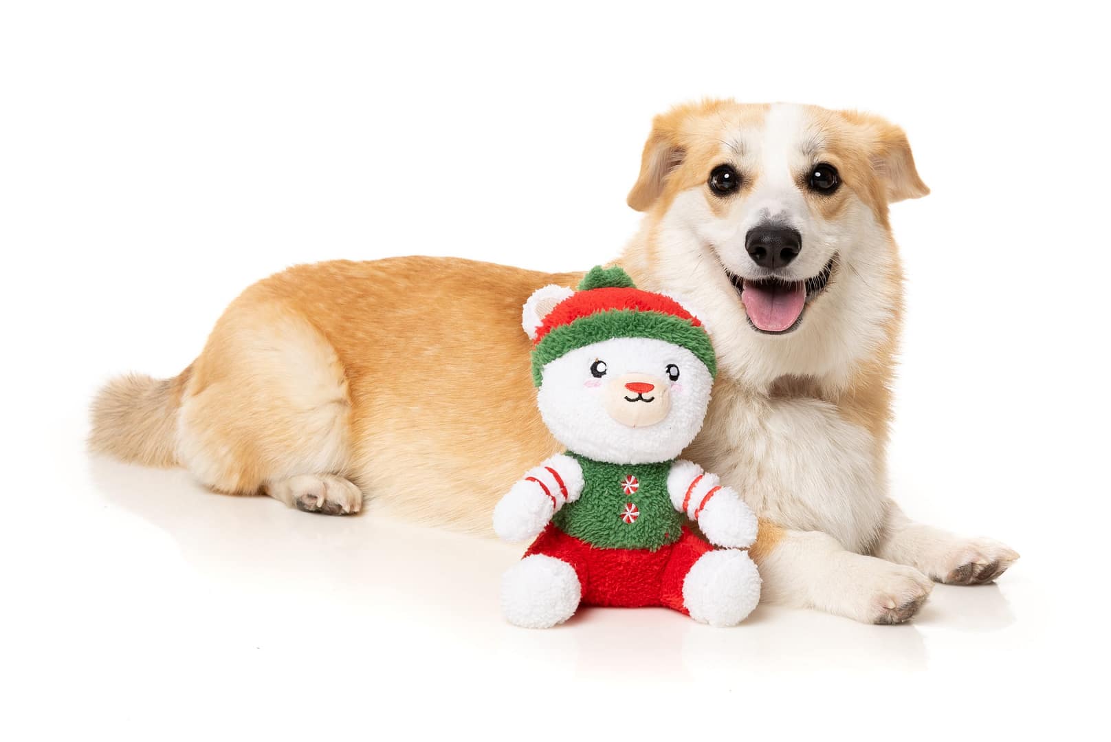FuzzYard Christmas Dog Toy - Polar Abdul Small - Image 2