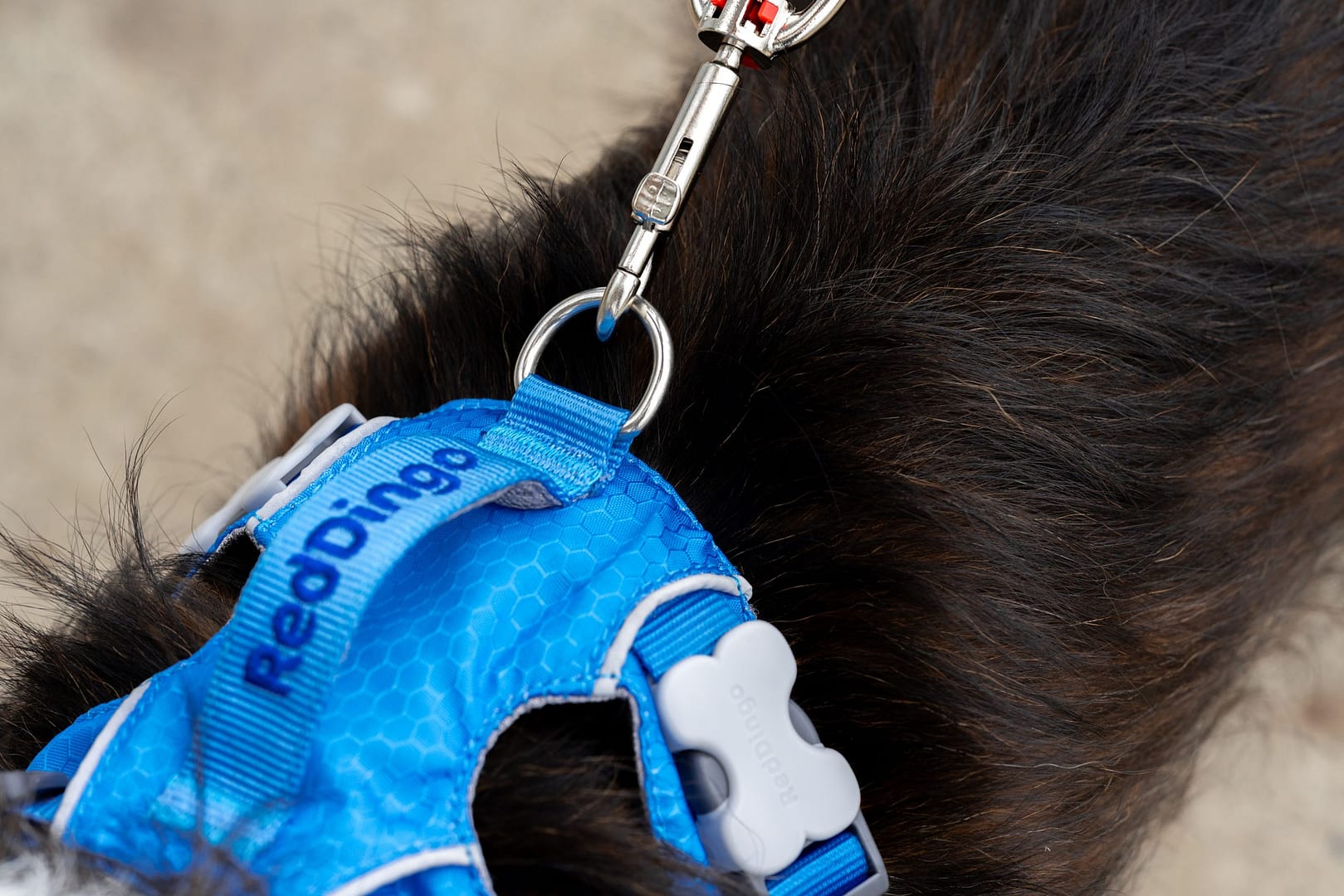Red Dingo Dog Sport Harness Red (5 Sizes) - Image 2